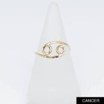 ZODIAC RINGS - Image 12